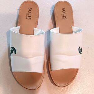 Solis Michigan State University Slides 9